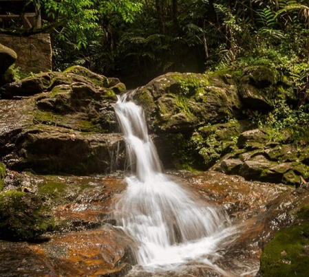 अफ्रिकेच्या भूमीखाली दडलेली ‘संपत्ती’