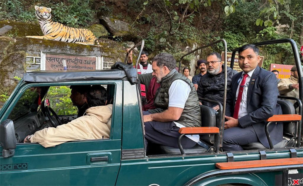 जंगल जंगल बात चली है, पता चला है…राहुल गांधी मध्य प्रदेशात जंगल सफारीवर
