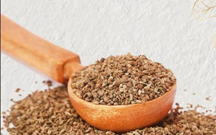 पोटदुखीपासून खोकल्यापर्यंत ‘अजवाइन’ वरदान