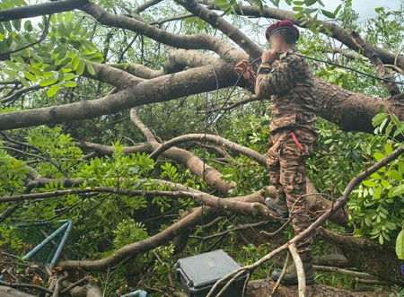 श्रीलंकेत भारतीय सैन्याची कमाल !