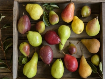 पचनाशी संबंधित आजारांवर नाशपात्याचा उपाय