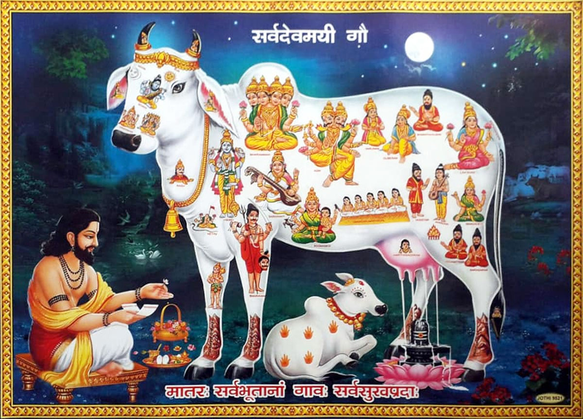 GoMutra a unique medicine helps to fight many diseases