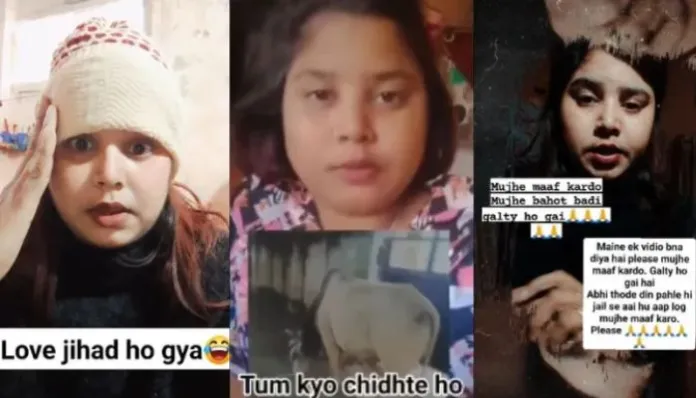 हिंदूंवर सातत्याने अपमानास्पद पोस्ट टाकणाऱ्या ‘टीना हिंदुस्थानी तथा सलमा’विरोधात तक्रार