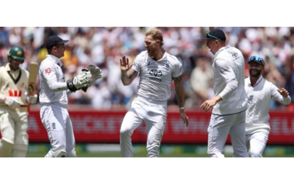 स्टार्क आऊट की नॉटआऊट?