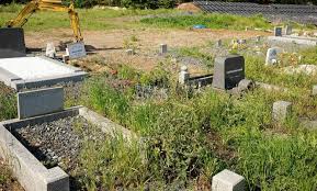 जपानमध्ये मुस्लिमांच्या कबरींना विरोध, स्वदेशात जाऊन दफन करा!