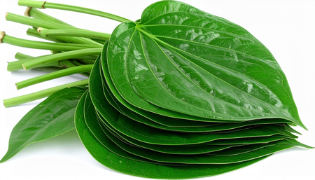 पानाच्या सेवनाचे सात मोठे फायदे