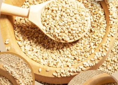 कॅल्शियमने भरलेले तीळ हाडांसाठी वरदान