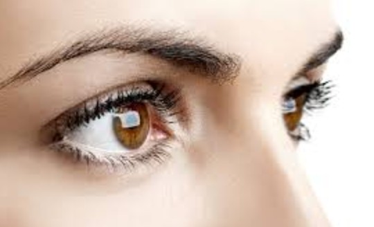 कॅमेऱ्यासारखे कार्य करणाऱ्या डोळ्यांबद्दल ‘या’ गोष्टी माहिती आहेत का?