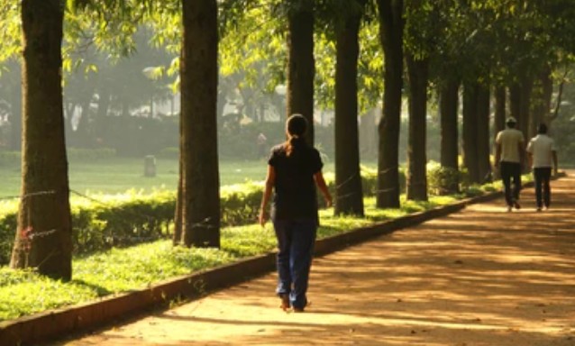 सकाळच्या चालण्याचे फायदे: सकारात्मक जीवनशैलीसाठी सर्वोत्तम सवय