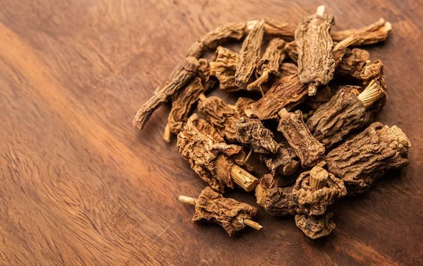 स्त्रियांसाठी नैसर्गिक वरदान असलेली ‘ही’ वनस्पती! आयुर्वेदात आहे विशेष महत्त्व