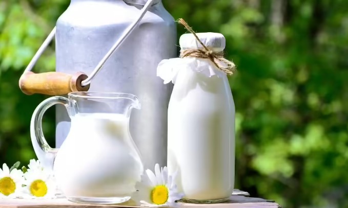 आरोग्यासाठी उपयुक्त आहे सकाळी दूध पिणे; कसे ते जाणून घ्या?