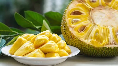 उन्हाळ्यात फायबरचा उत्तम स्रोत; भाज्यांचा सुपरफूड ‘फणस’