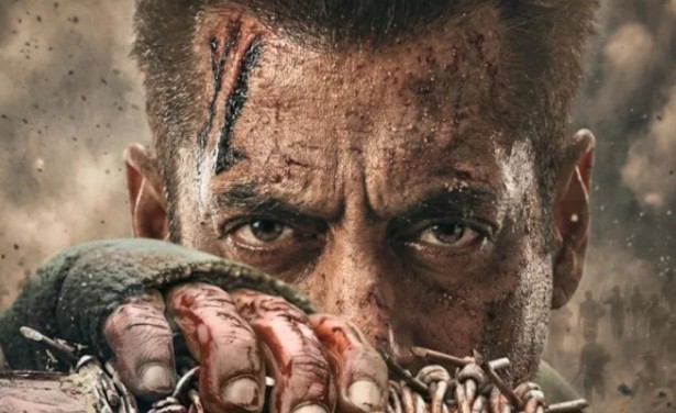 सलमानच्या “बॅटल ऑफ गलवान”चे नाव बदलून “मातृभूमी: मे वॉर रेस्ट इन पीस”