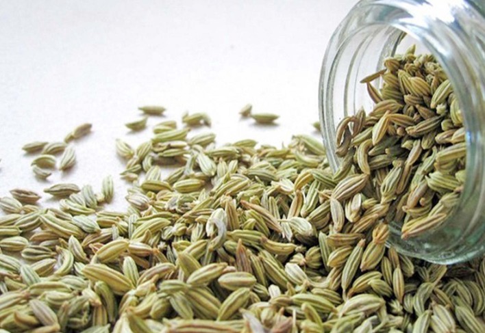 रोज बडीशेप खाल्ल्याने शरीराला काय फायदे होतात?