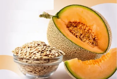खरबूजच नाही तर खरबूजाच्या बियाही आहेत सुपरफूड! फायदे घ्या जाणून