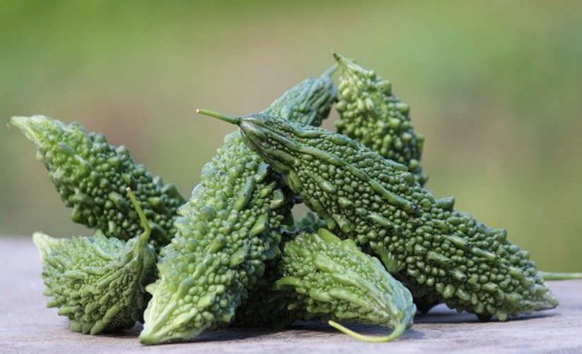 उन्हाळ्यात कारल्याचे सेवन लाभदायक! कसे ते घ्या जाणून