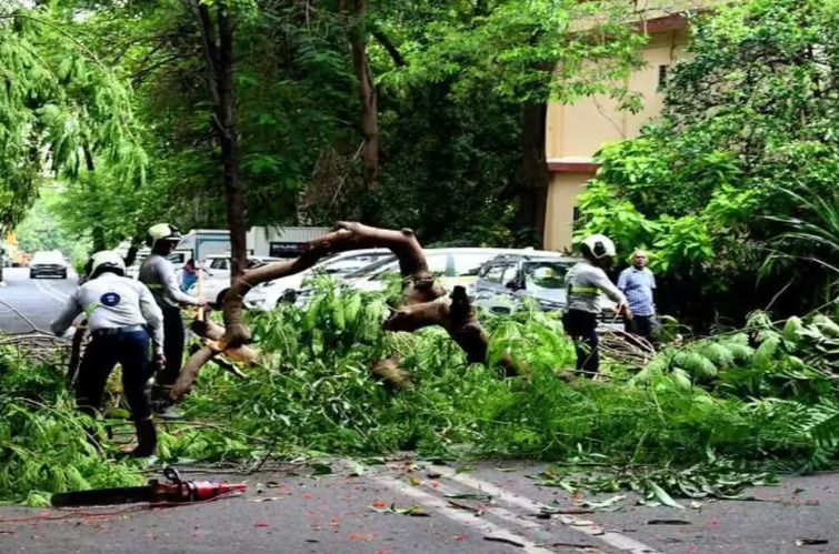 पोलीस महासंचालक कार्यालयात दुर्घटना; झाडाची फांदी पडून पीडब्ल्यूडी कर्मचाऱ्याचा मृत्यू