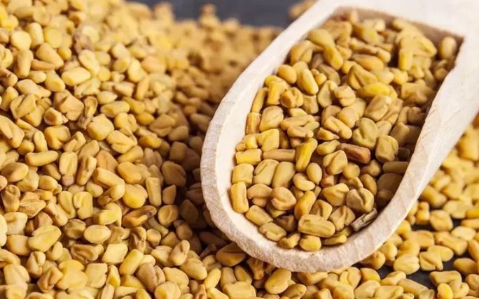 उन्हाळ्यात करताय मेथी दाण्याचे सेवन? जाणून घ्या आयुर्वेद काय सांगते