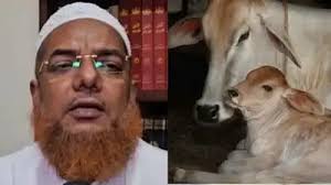 बंगालमध्ये मौलांनांची भाषा बदलली… गाईचं मांस खाऊ नका, तिला राष्ट्रीय प्राणी घोषित करा!