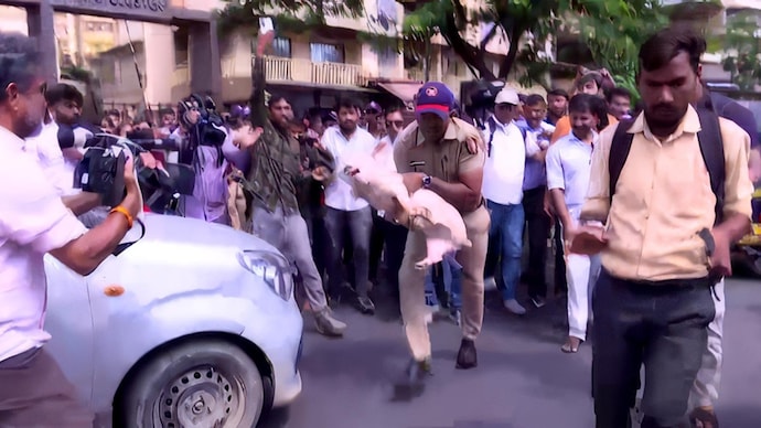 मीरा रोडमध्ये बोकडांच्या शेडला ‘वराहपूजना’ने उत्तर