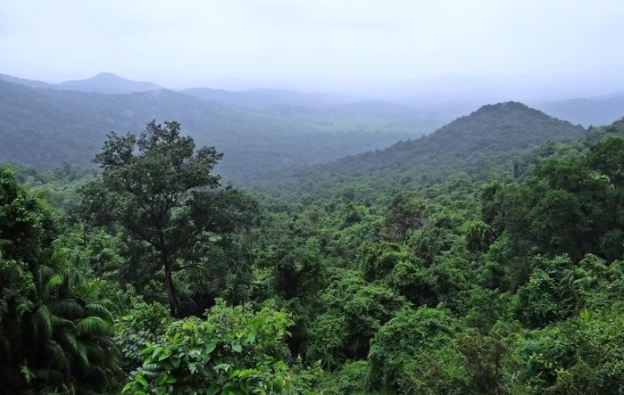 भारताची हरित क्रांती; वनविरहित २.१७ कोटी हेक्टर जमीन पुन्हा हिरवीगार