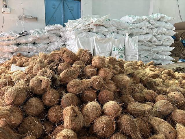 अरब देशांना हवेत नारळ, निर्यात पुन्हा रुळावर
