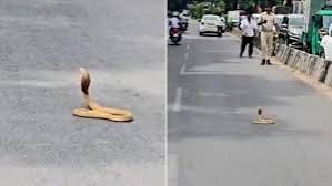 बेंगळुरूत सरळ रस्त्यावर नागमोडी ‘स्पीडब्रेकर’मुळे रहदारी थांबली
