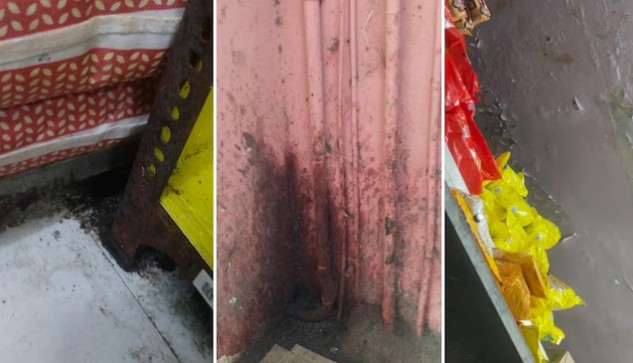 ब्लिंकइटच्या गोदामात झुरळेच झुरळे; परवाना रद्द